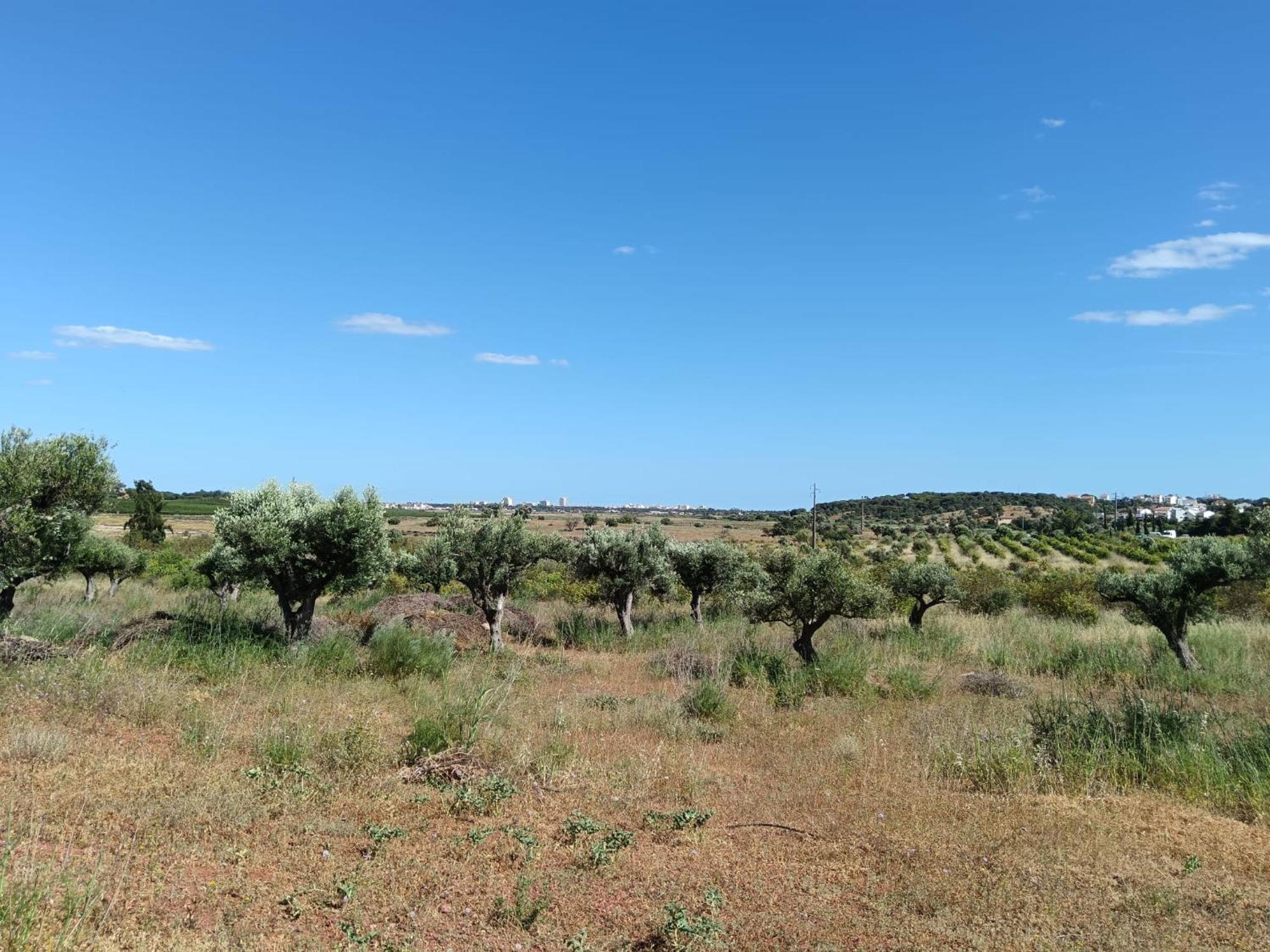 Quinta Da Fornalha - Santuario Agroecologico Villa Кастро Марим Екстериор снимка