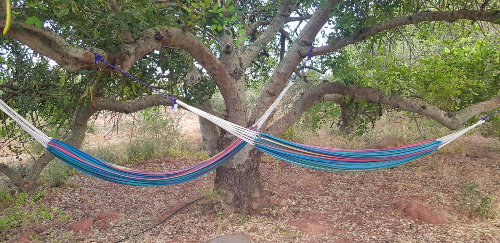 Quinta Da Fornalha - Santuario Agroecologico Villa Кастро Марим Екстериор снимка